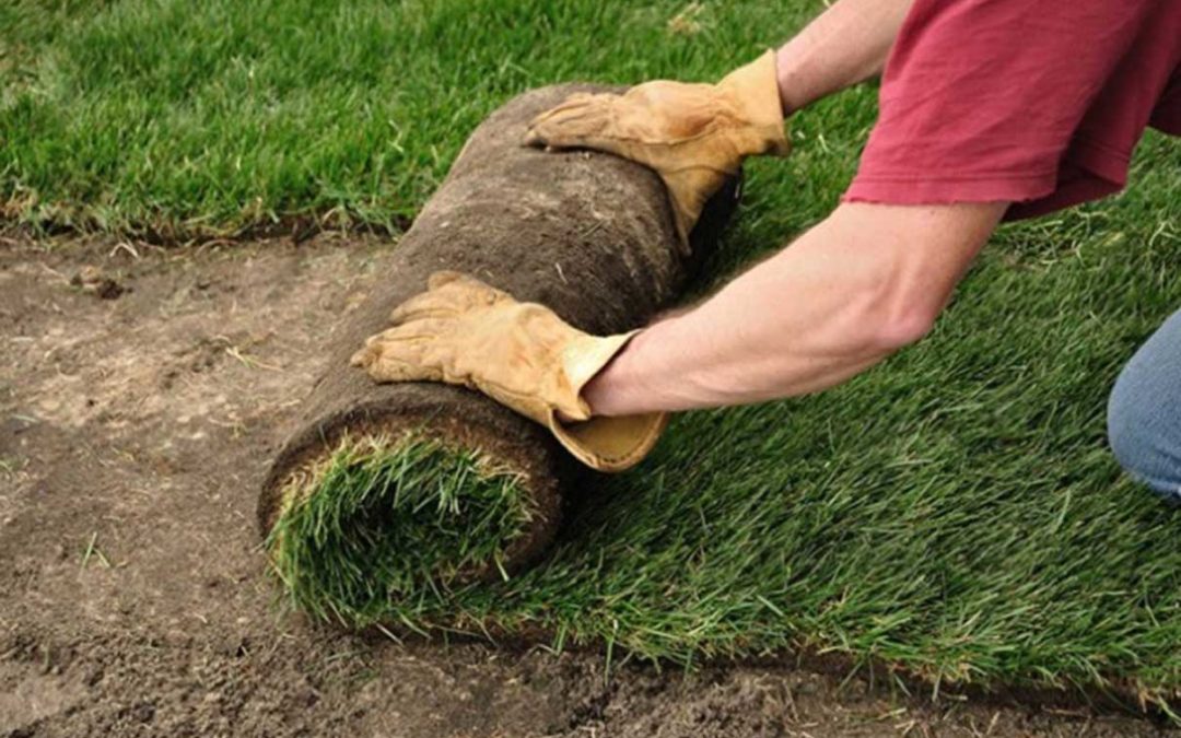 ROLL OUT GRASS INSTANT LAWNS